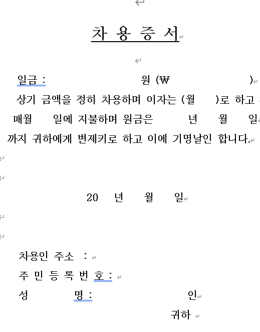 차용증서 미리보기