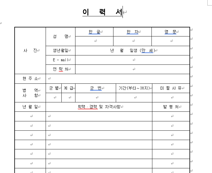 이력서 양식 2 미리보기